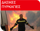 Δασικές Πυρκαγιές
